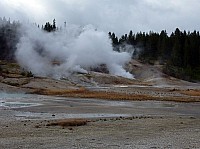 Yellowstone Norris Geyser (109).JPG